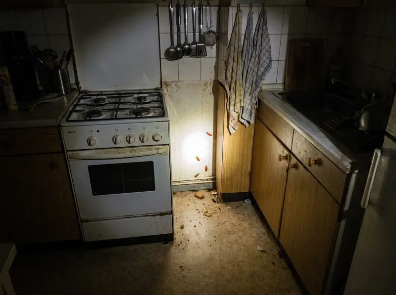 Kakerlaken: typischer Befall in einer Berliner Wohnung